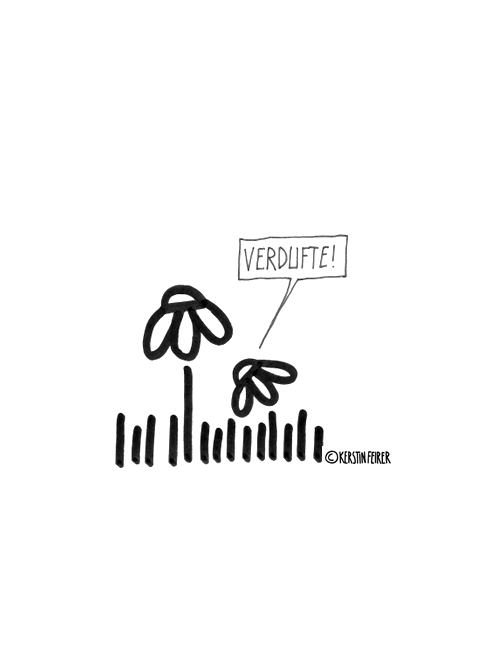 Verdufte
